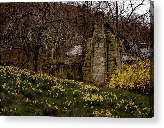 Apple Orchard Acrylic Print featuring the photograph Apple Valley Ruins by Norma Brandsberg