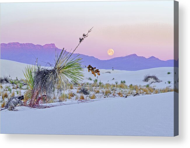 New Mexico Acrylic Print featuring the photograph April 2020 Moonset over White Sands by Alain Zarinelli