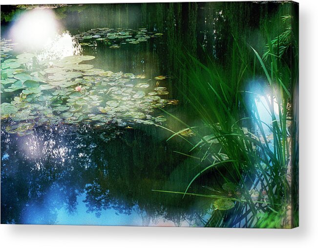 Impressionism Photos Acrylic Print featuring the photograph At Claude Monet's Water Garden 3 by Dubi Roman