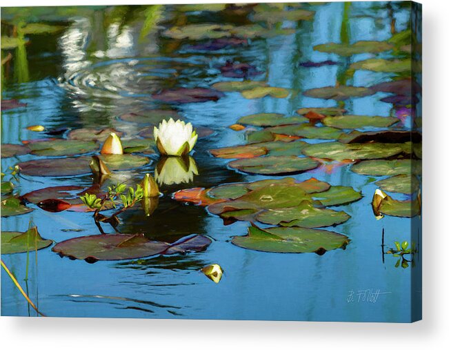 Water Lily Acrylic Print featuring the photograph At The Lily Pond by Bonnie Follett