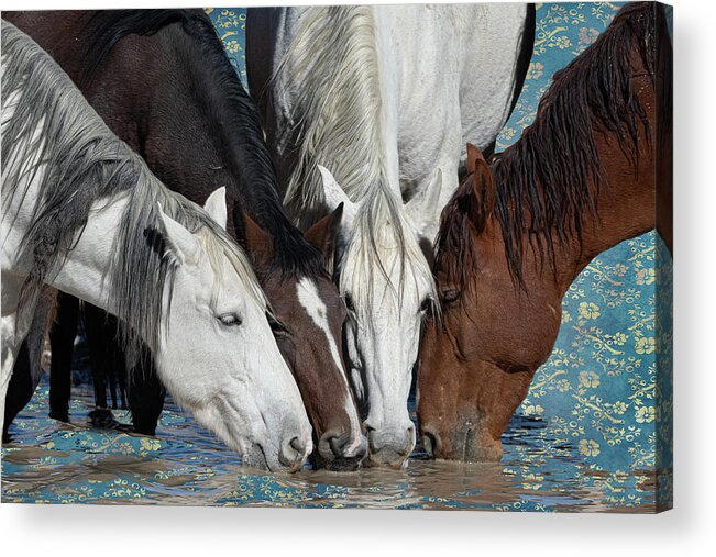 Wild Horses Acrylic Print featuring the photograph At the Water Hole by Mary Hone