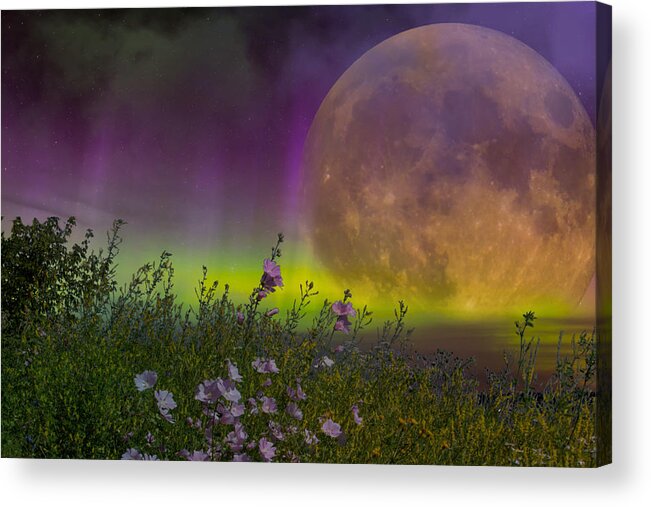 Fantasy Acrylic Print featuring the mixed media Aurora Meadow by Ally White