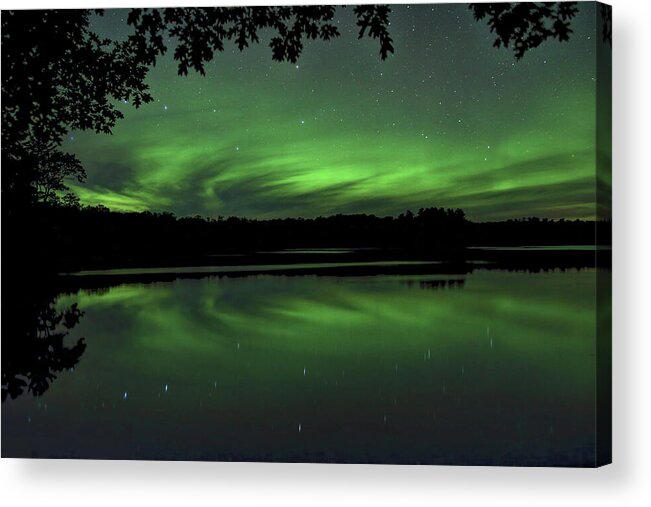 Aurora Borealis Acrylic Print featuring the photograph Aurora Under The Oak by Dale Kauzlaric