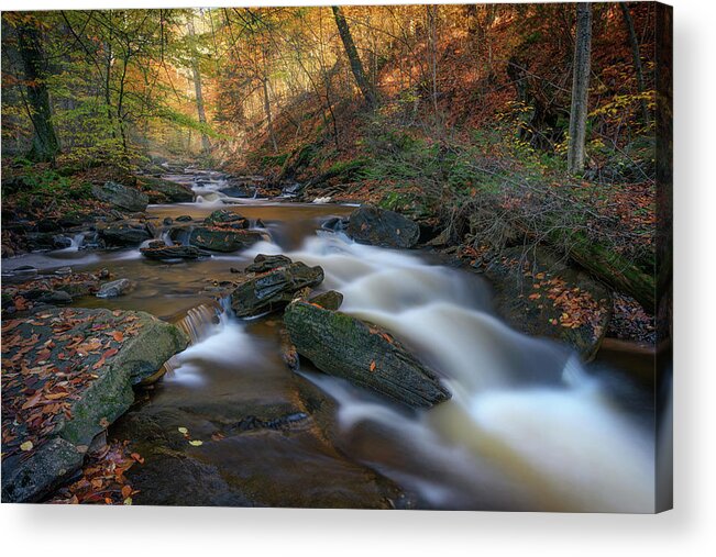 Ricketts Glen Acrylic Print featuring the photograph Autumn Afternoon in Ricketts Glen by Kristen Wilkinson