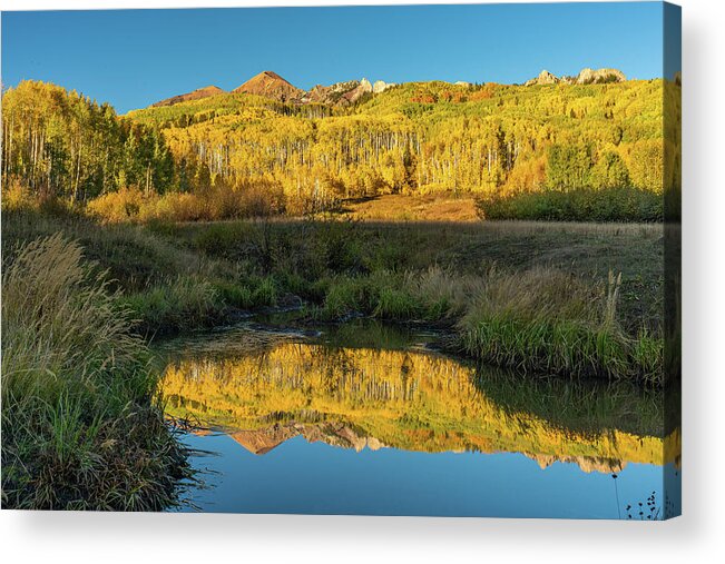 Fall Acrylic Print featuring the photograph Autumn Aspen Reflection by Ron Long Ltd Photography