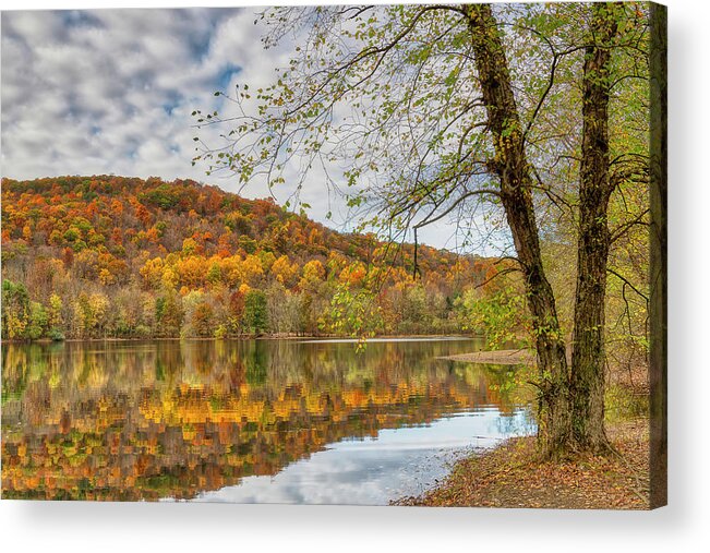 Ramapo Valley Reservation Acrylic Print featuring the photograph Autumn at Ramapo by Penny Polakoff