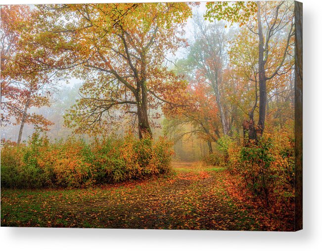 Autumn Acrylic Print featuring the photograph Autumn Colors 0901 by Greg Hartford