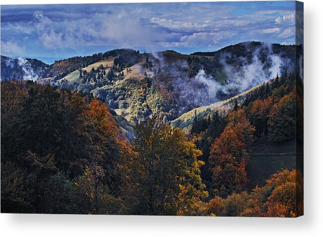  Acrylic Print featuring the photograph Autumn colors in Obermuenstertal by Ioannis Konstas