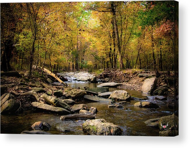 Creek Acrylic Print featuring the photograph Autumn Creek by Pam Rendall