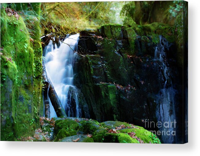 Oregon Waterfalls Acrylic Print featuring the photograph Autumn Fantasy Land 7- Sweet Creek Falls by Janie Johnson