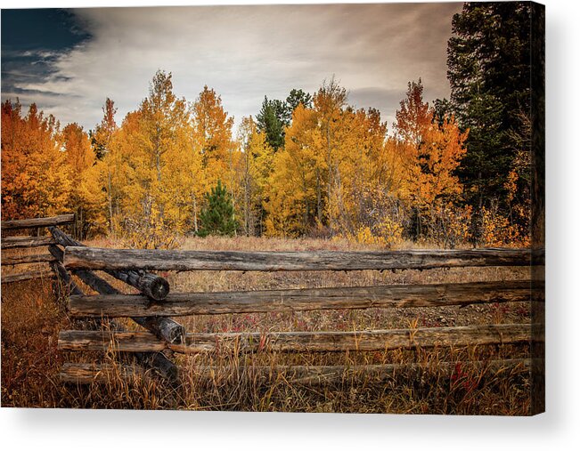 Colorado Acrylic Print featuring the photograph Autumn in Colorado by Kevin Schwalbe