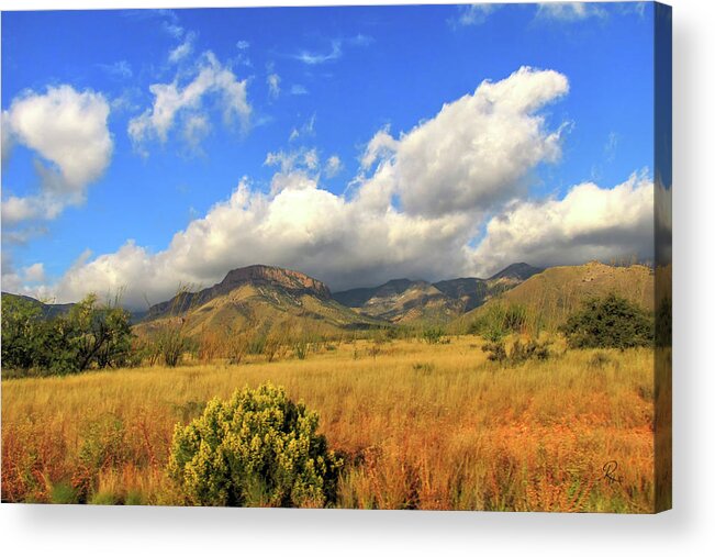 Huachuca Mountains Acrylic Print featuring the photograph Autumn In The Huachuca Mountains by Robert Harris