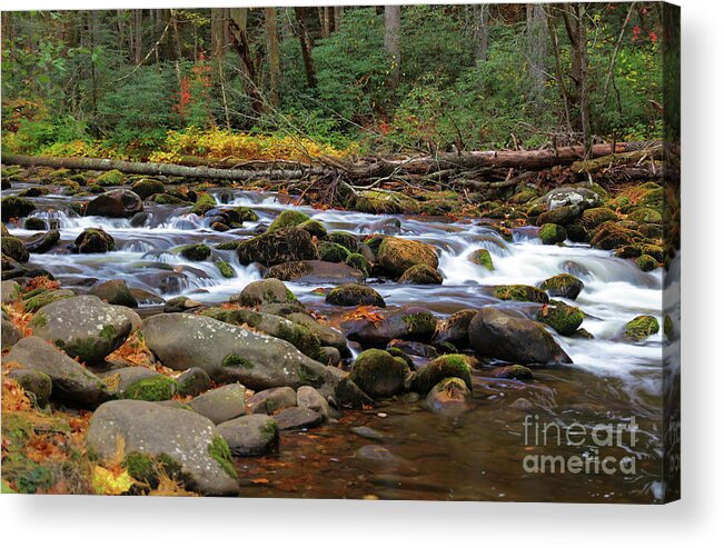 River Acrylic Print featuring the photograph Autumn Lullabye by Rick Lipscomb