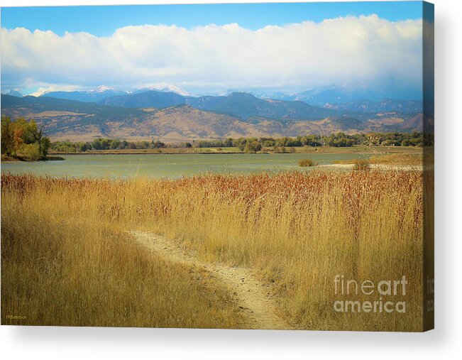 Colorado Acrylic Print featuring the photograph Autumn McIntosh Lake by Veronica Batterson