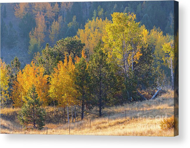 Autumn Acrylic Print featuring the photograph Autumn Mountainside by Steven Krull