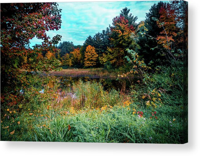 Colors Of Autumn Acrylic Print featuring the photograph Autumn Nature landscape in New England by Lilia S