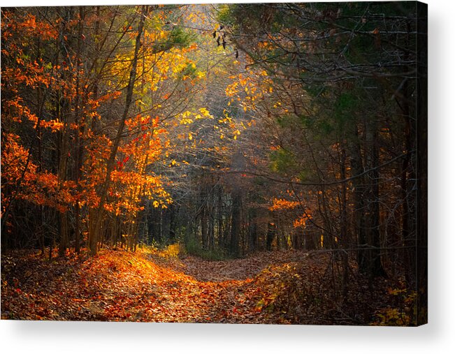 Autumn Acrylic Print featuring the photograph Autumn Path by Bonny Puckett