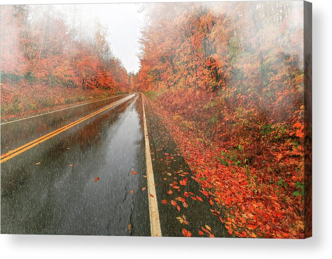 Fine Art Acrylic Print featuring the photograph Autumn Rain by Robert Harris