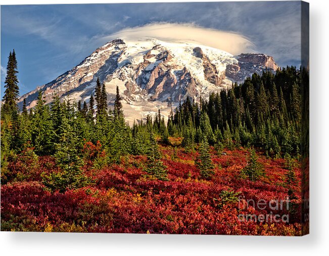 Mt Acrylic Print featuring the photograph Autumn Rainbow Of Color At Paradise by Adam Jewell