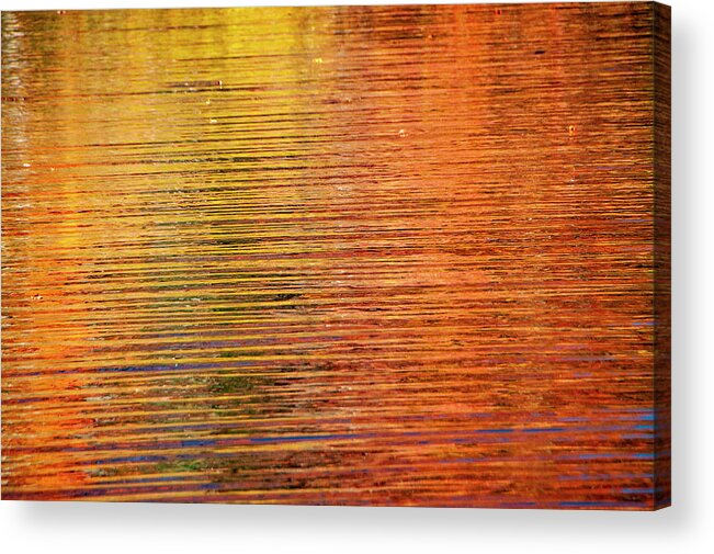 Abstract Acrylic Print featuring the photograph Autumn Reflection by Cathy Kovarik