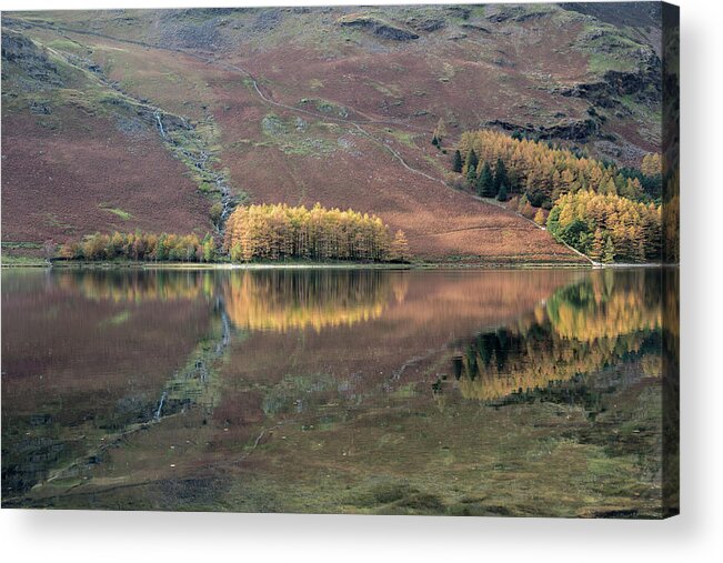 Autumn Acrylic Print featuring the photograph Autumn Reflections, Butteremere, Lake District, England, Uk by Sarah Howard