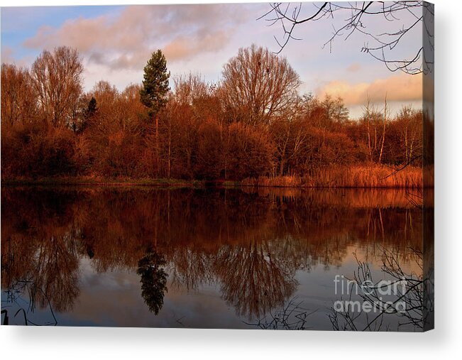 Landscape Acrylic Print featuring the photograph Autumn Symmetry by Stephen Melia