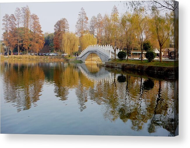 1988 Acrylic Print featuring the photograph Autumn trees and Bridges, photographed in wuhan, China by fanjie Tang