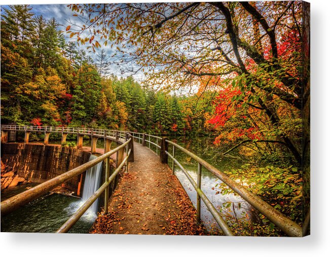 Carolina Acrylic Print featuring the photograph Autumn Trees at the Dam by Debra and Dave Vanderlaan