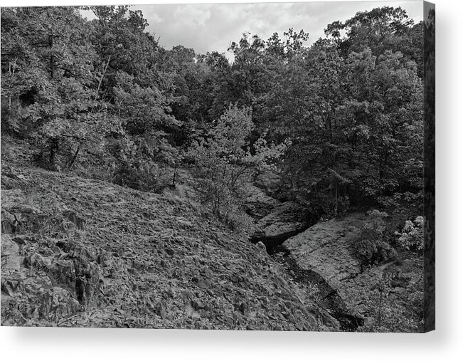 Black And White Acrylic Print featuring the photograph Autumn Trees at the Top of Hemlock Falls by Alan Goldberg