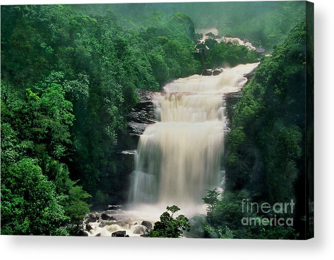 Dave Welling Acrylic Print featuring the photograph Base Of Angel Falls Canaima National Park Venezuela by Dave Welling