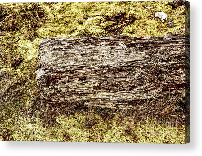 Beach Driftwood Acrylic Print featuring the photograph Beach Driftwood 26 by M G Whittingham