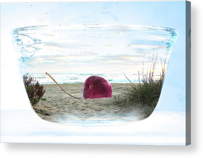 Cherry On The Beach Acrylic Print featuring the photograph Beach in a bowl by Sharon Popek