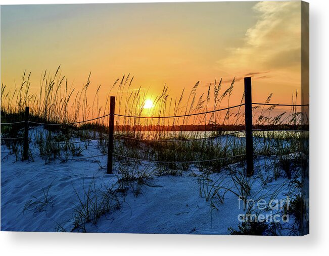 Sun Acrylic Print featuring the photograph Beach Sand Dunes Sunset, Perdido Key, Florida by Beachtown Views