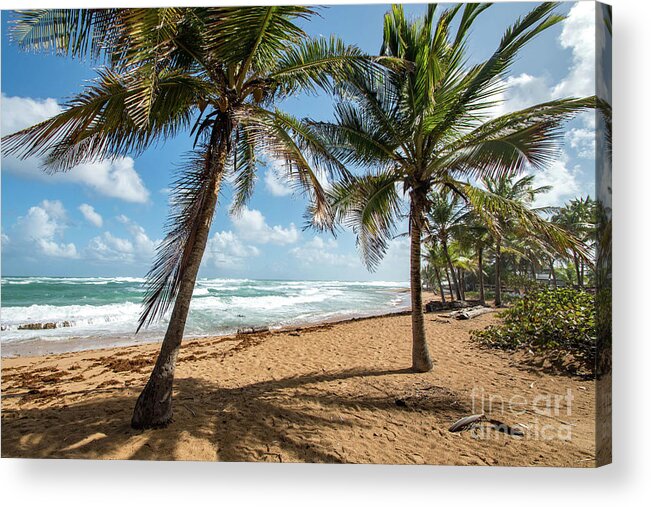 Piñones Acrylic Print featuring the photograph Beach Waves and Palm Trees, Pinones, Puerto Rico by Beachtown Views