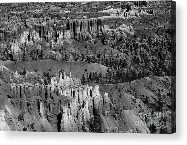 Wayne Moran Photograpy Acrylic Print featuring the photograph Beautiful Bryce Canyon National Park Beautiful BW by Wayne Moran