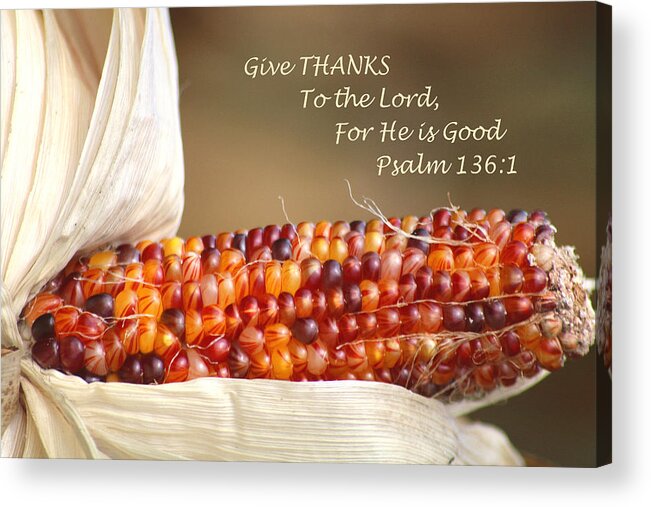 Indian Corn Acrylic Print featuring the photograph Beautiful Indian Corn With Scripture by Living Color Photography Lorraine Lynch