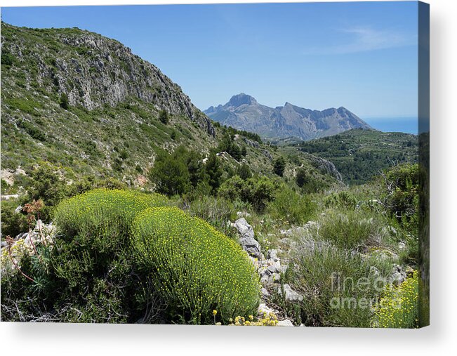 Mountain Landscape Acrylic Print featuring the photograph Green mountain landscape near the Mediterranean coast by Adriana Mueller