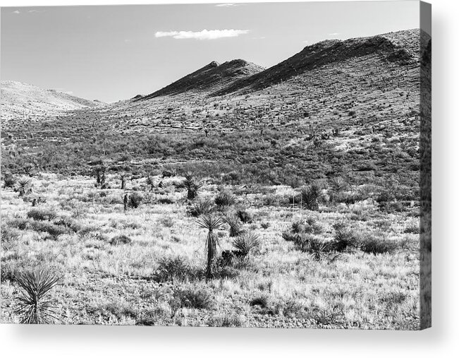 Outdoor Acrylic Print featuring the photograph Between Marathon and Big Bend-008-M by David Allen Pierson
