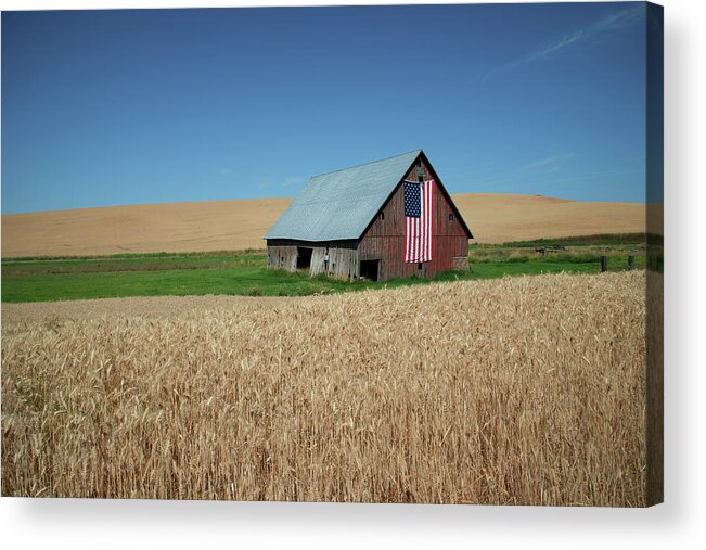 Farm Acrylic Print featuring the photograph Between Waves of Grain by Connie Carr