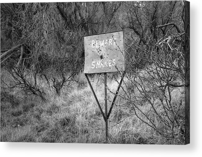 Black And White Acrylic Print featuring the photograph Beware of Snakes by Mary Lee Dereske