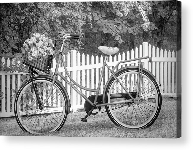 Carolina Acrylic Print featuring the photograph Bicycle by the Garden Fence II Black and White by Debra and Dave Vanderlaan