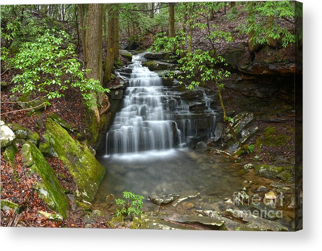 Big Branch Falls Acrylic Print featuring the photograph Big Branch Falls 1 by Phil Perkins