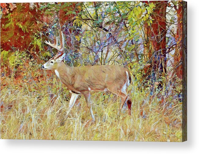 Deer Acrylic Print featuring the digital art Big Buck Deer Just Passing Through by Gaby Ethington