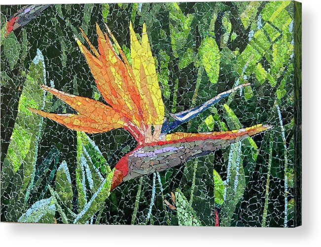 Mosaic Acrylic Print featuring the mixed media Bird of Paradise by Matthew Lazure