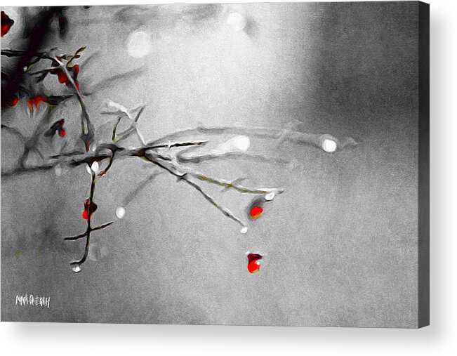 Rain Acrylic Print featuring the digital art Black and White Branches by Mariam Bazzi