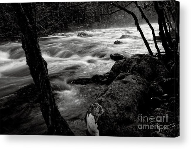 Middle Prong Trail Acrylic Print featuring the photograph Black And White River 3 by Phil Perkins