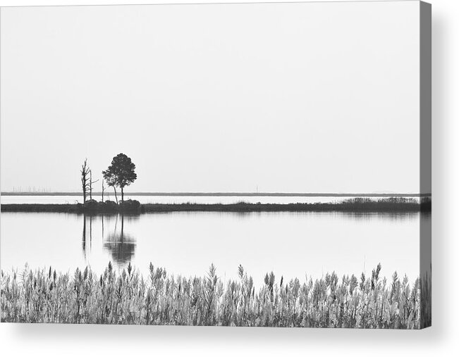 Grass Acrylic Print featuring the photograph Blackwater River Reflection in Monochrome by Charles Floyd