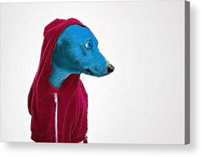 Wolf Acrylic Print featuring the painting Blue Dog by Tony Rubino