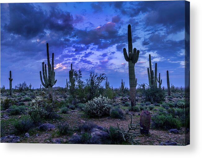 Blue Hour Acrylic Print featuring the photograph Blue Hour In The Desert by Lorraine Baum