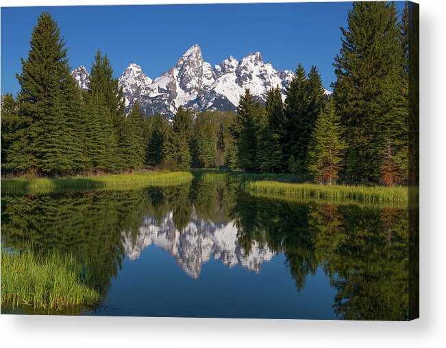 Grand Acrylic Print featuring the photograph Bluebird Skies by Patrick Campbell